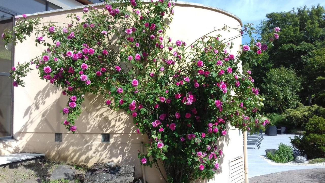 Le Manoir De La Mantille Bed and breakfast 2*